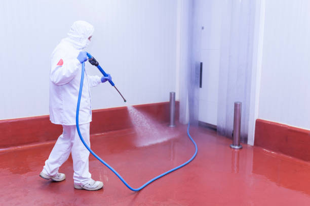 Best House Exterior Washing  in Mabank, TX